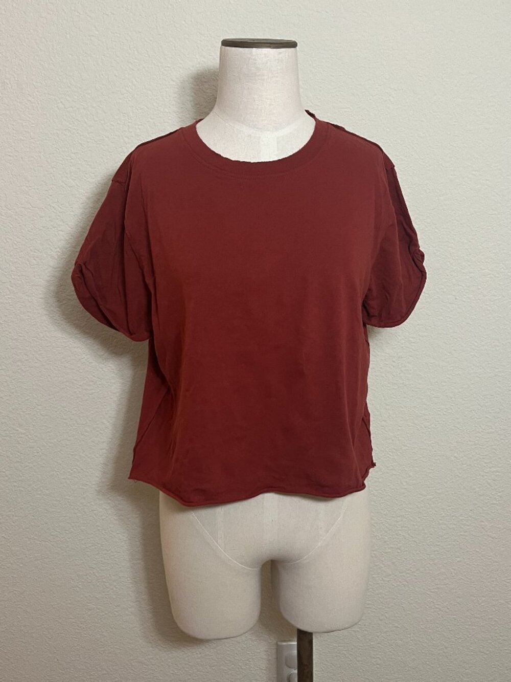 We The Free Rust Boxy Crop Top